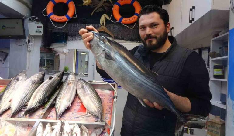 Tezgahların gözdesi! Kilosu 700 TL’yi buluyor, geç çıksa da yüzleri güldürüyor