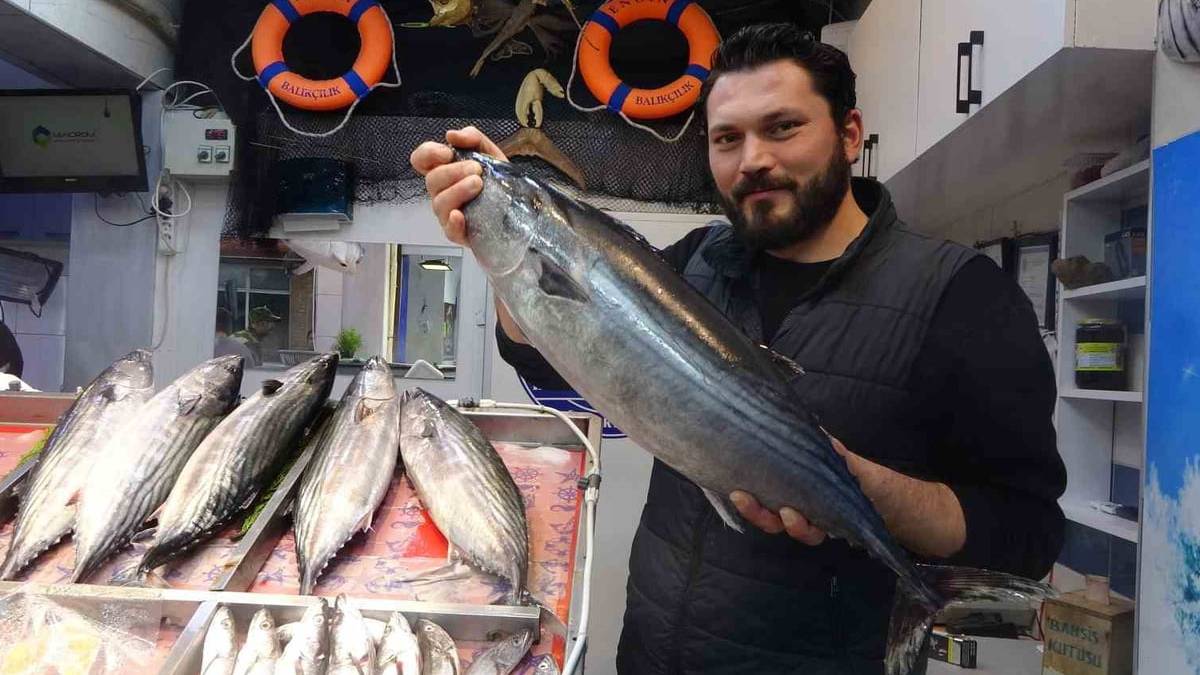 Tezgahların gözdesi! Kilosu 700 TL’yi buluyor, geç çıksa da yüzleri güldürüyor
