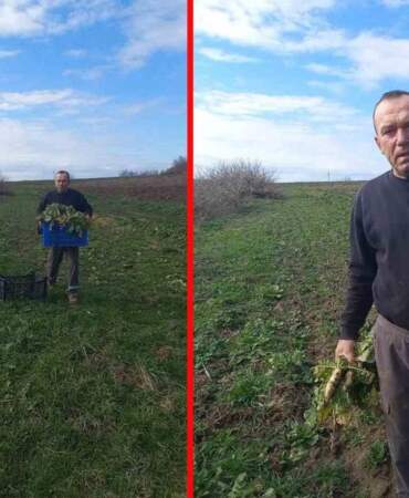 Toprağı ilmek ilmek işliyorlar, çocuklarına gelecek inşa ediyorlar! Yaz kış tarlada mesai yapıyorlar