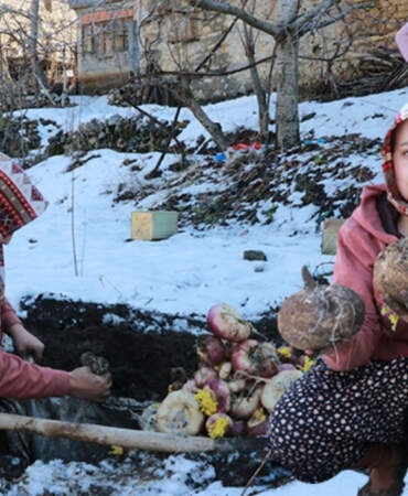 Ne buzdolabı ne dondurucu! Sebzeleri korumak için toprağın altına gömüyorlar: Asırlardır bu yöntemi kullanıyorlar