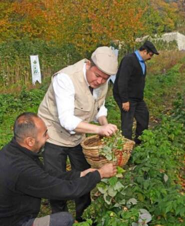 Madenlerde aramayın, topraktan fışkırıyor! Altın değerinde üretim başladı: Topraktan 1 buçuk milyon liralık gelir fırsatı