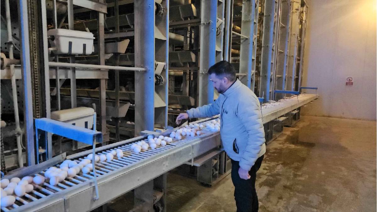 Devlet desteğiyle kurdu, AB standartlarıyla üretime başladı! Talep de üretim de artıyor: Birçok ilin ihtiyacını karşılıyor