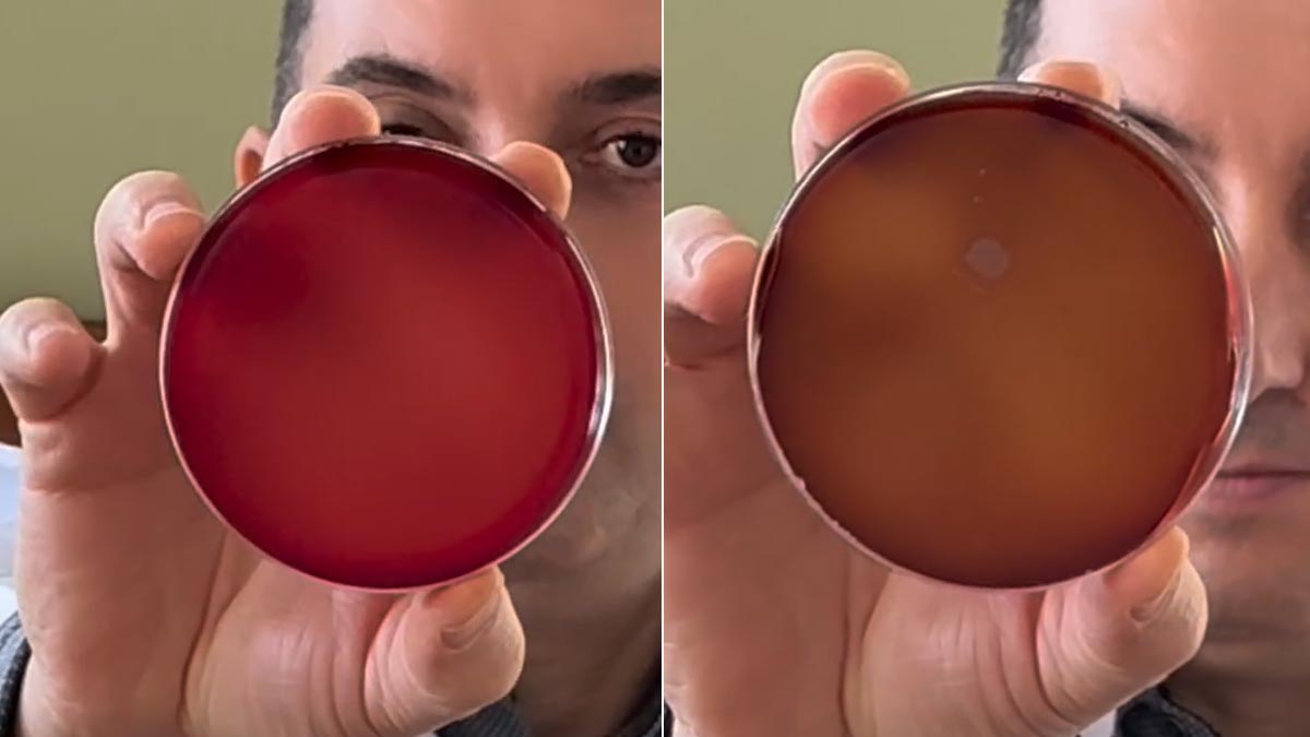 Marketten alınan 7 farklı su markası laboratuvarda incelendi: İşte petri kabındaki şaşırtıcı sonuçlar