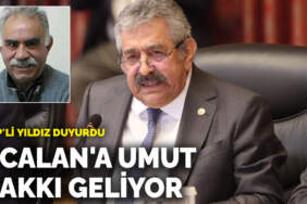 MHP’li Feti Yıldız: Öcalan’a umut hakkı geliyor