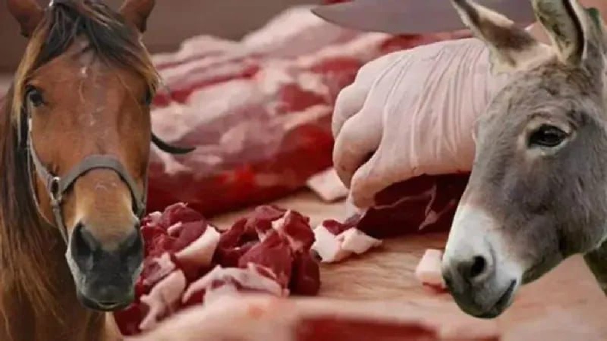 Tarım ve Orman Bakanlığı zincir market denetiminde büyük skandal: “Sokaktan geçene zorla çamur yedirmekle aynı şey”