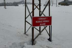 Kuduz vakası sonrası turuncu alarm! O köy karantinaya alındı, giriş çıkışlar yasaklandı!