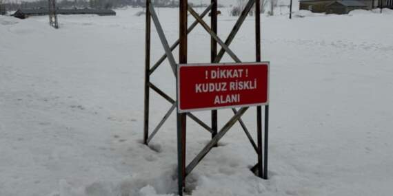 Kuduz vakası sonrası turuncu alarm! O köy karantinaya alındı, giriş çıkışlar yasaklandı!