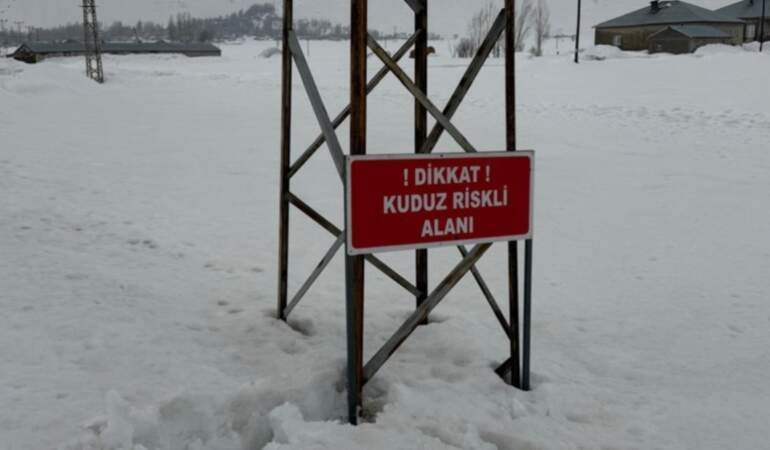 Kuduz vakası sonrası turuncu alarm! O köy karantinaya alındı, giriş çıkışlar yasaklandı!