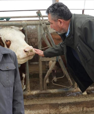 Devlet desteği aldı, hayallerini gerçekleştirdi! Kurduğu işletmeden günlük 1,5 ton süt üretiyor