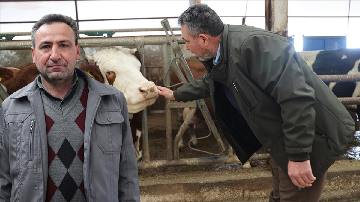 Devlet desteği aldı, hayallerini gerçekleştirdi! Kurduğu işletmeden günlük 1,5 ton süt üretiyor