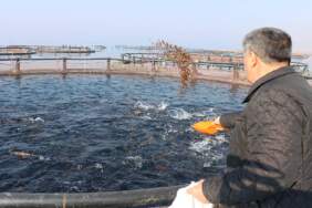 İş yerini kapattı, nehirde üretmeye başladı! Kazancı milyonları buluyor, Japonya ve Çin’e gönderiyor