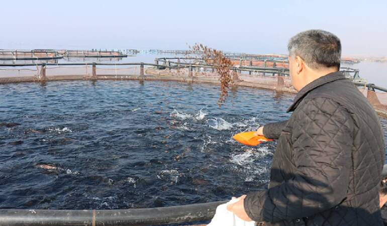 İş yerini kapattı, nehirde üretmeye başladı! Kazancı milyonları buluyor, Japonya ve Çin’e gönderiyor
