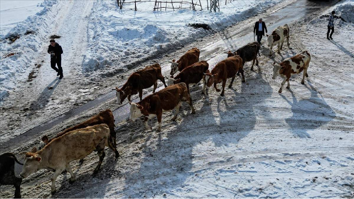 Dede mesleğine devlet desteği katkısı! İlkel yöntemi bıraktı modernliği getirdi: Bir aile el birliğiyle işi büyüttü