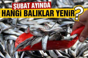Hangi balık bu ay şifa dağıtıyor? İşte Şubat ayının lezzet şampiyonları!