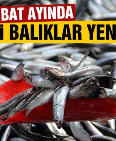 Hangi balık bu ay şifa dağıtıyor? İşte Şubat ayının lezzet şampiyonları!