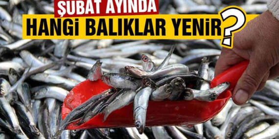 Hangi balık bu ay şifa dağıtıyor? İşte Şubat ayının lezzet şampiyonları!