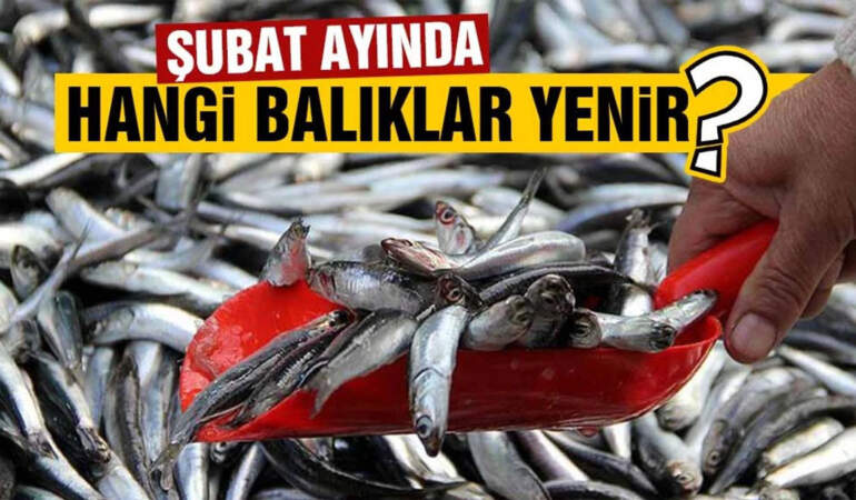 Hangi balık bu ay şifa dağıtıyor? İşte Şubat ayının lezzet şampiyonları!