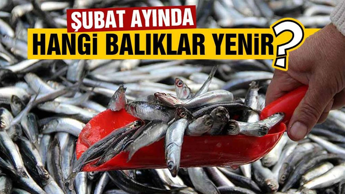 Hangi balık bu ay şifa dağıtıyor? İşte Şubat ayının lezzet şampiyonları!