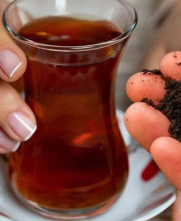 Meğer boşuna atıyormuşuz! Çay posasının bu mucizelerini kimse bilmiyor