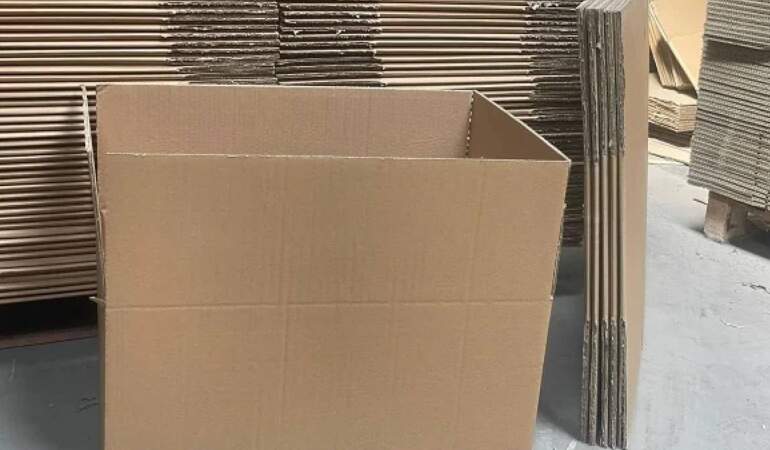 Kartonları çöpe atmadan bir kez daha düşünün: Bitkileriniz için biçilmiş kaftan