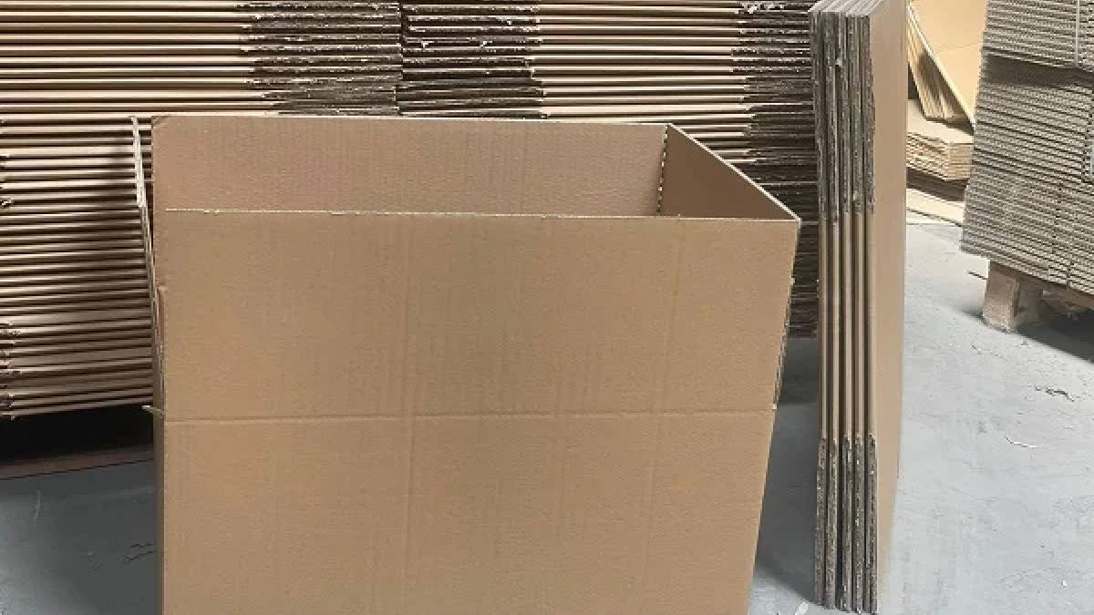 Kartonları çöpe atmadan bir kez daha düşünün: Bitkileriniz için biçilmiş kaftan