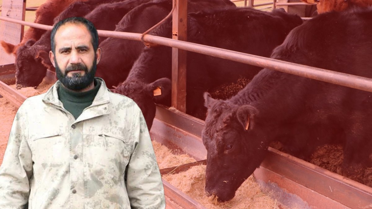 Kilisli yetiştirici devlet desteğiyle hayvan sayısını kısa sürede 27’ye çıkardı