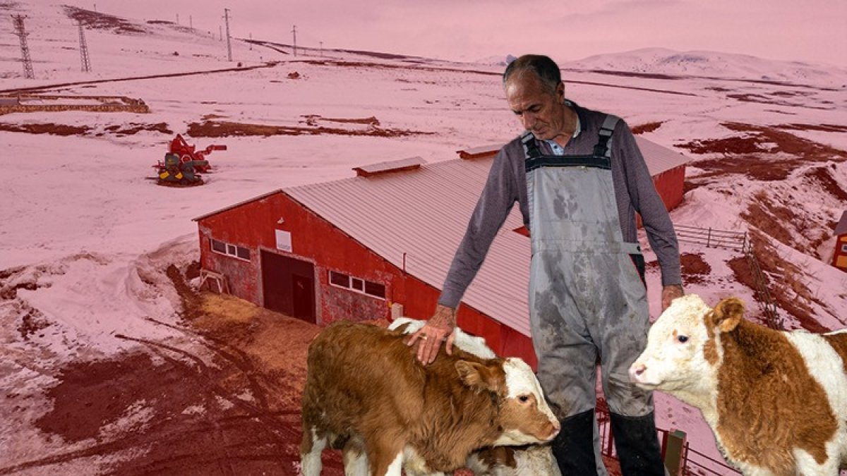 Hayvancılığı tam bırakıyordu, devletten destek eli geldi! Eski ahırını modern tesise dönüştürdü