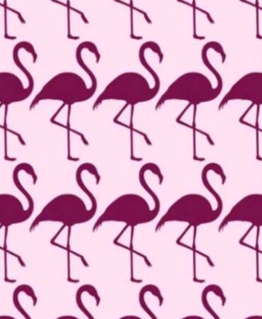 Dikkatinize güveniyor musunuz? Sadece yüksek IQ’lu kişiler farklı flamingoyu 6 saniyede seçebiliyor!