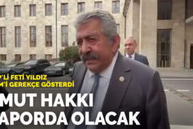 MHP’li Feti Yıldız AİHM’i gerekçe gösterdi: Umut hakkı raporda olacak