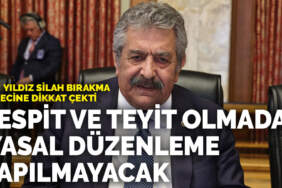 Feti Yıldız silah bırakma sürecine dikkat çekti: Tespit ve teyit olmadan yasal düzenleme yapılmayacak