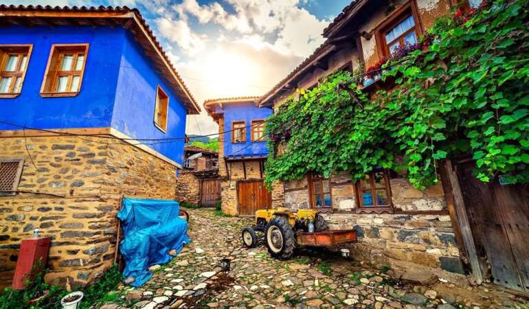 Türkiye’deki bu köy isimleri şaşırtıyor! En ilginç köy isimleri: Sinek, Dertli…