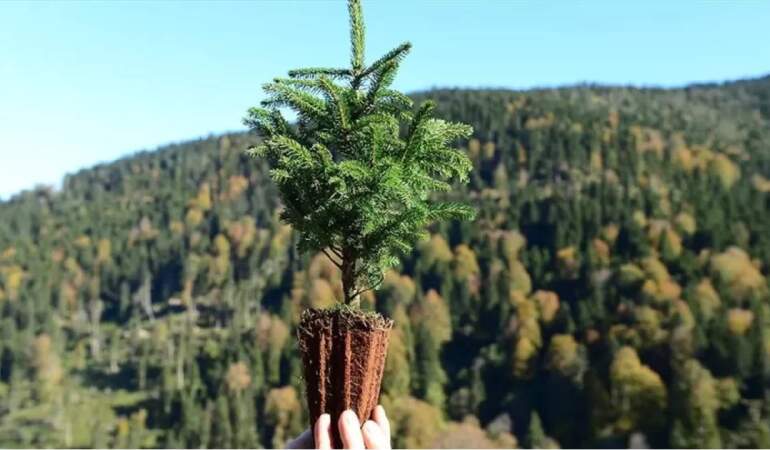 Erzurum’da bir ilk! Uzlaştırma ormanı kurulacak