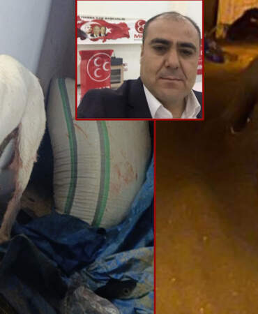 MHP’li İlçe Başkanı komşusunun köpeğine kurşun yağdırdı: “Dinime imanıma hepinize sıkarım”