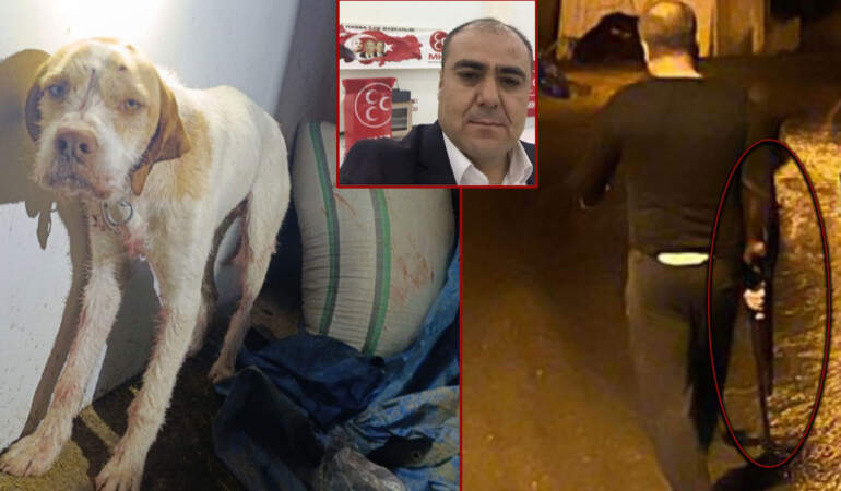 MHP’li İlçe Başkanı komşusunun köpeğine kurşun yağdırdı: “Dinime imanıma hepinize sıkarım”