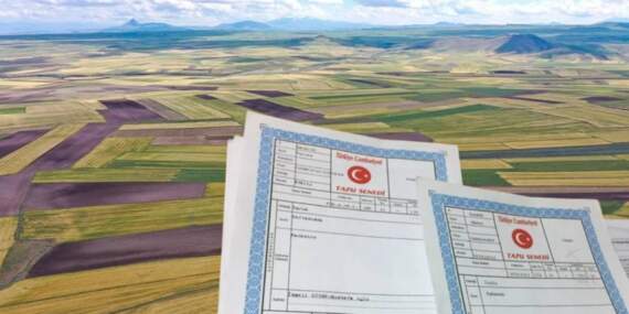 Yargıtay’dan ortak tapular için kritik karar: Tarla satışında ön alım hakkına dikkat