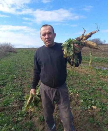 Dört mevsim çalışıyorlar, sabah hava aydınlanır aydınlanmaz başlıyorlar! Çocukların geleceği burada yatıyor