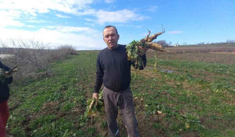Dört mevsim çalışıyorlar, sabah hava aydınlanır aydınlanmaz başlıyorlar! Çocukların geleceği burada yatıyor