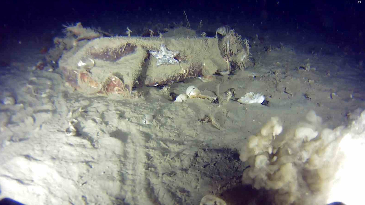 Marmara’da 1975 faciasında yeni gelişme: 51 yıl önce düşen THY uçağına ait izlere ulaşıldı