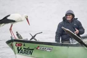 Yaren Leylek geldi mi? 2026 Bursa Eskikaraağaç Leylek Köyü müjdeyi verdi