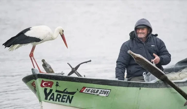 Yaren Leylek geldi mi? 2026 Bursa Eskikaraağaç Leylek Köyü müjdeyi verdi