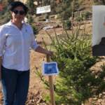Bolu’da acı olay: Oğlunun mezarını ziyaret eden anne kalp krizi geçirdi