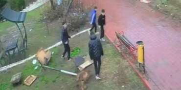 Kuş Yuvasına Zarar Veren 4 Çocuğa Ev Hapsi