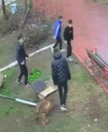 Kuş Yuvasına Zarar Veren 4 Çocuğa Ev Hapsi