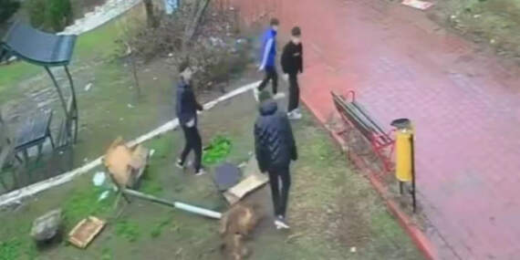 Kuş Yuvasına Zarar Veren 4 Çocuğa Ev Hapsi