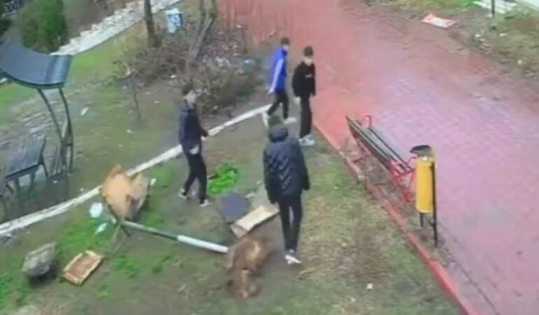 Kuş Yuvasına Zarar Veren 4 Çocuğa Ev Hapsi