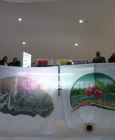 Çubuk Tanıtım Günleri Gerçekleşti