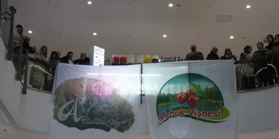 Çubuk Tanıtım Günleri Gerçekleşti