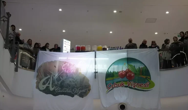 Çubuk Tanıtım Günleri Gerçekleşti