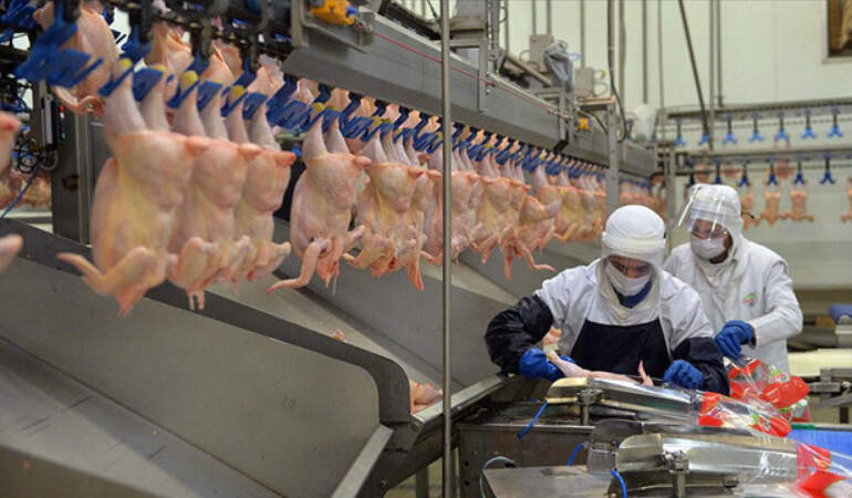 Bakanlık Harekete Geçti… Tavuk Eti İhracatı Durduruldu