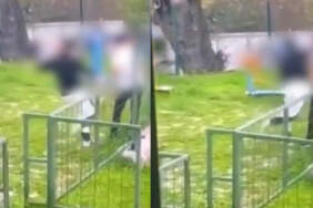 Bodrum’da Parkta Akran Zorbalığı! Darp Ederek Bayılttı